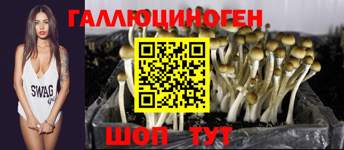 Галлюциногенные грибы прущие грибы  Вход с VPN  Чита 